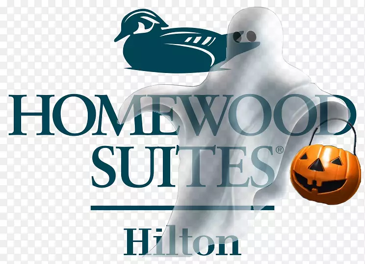 希尔顿酒店和度假村提供的豪迈套房-全球希尔顿酒店