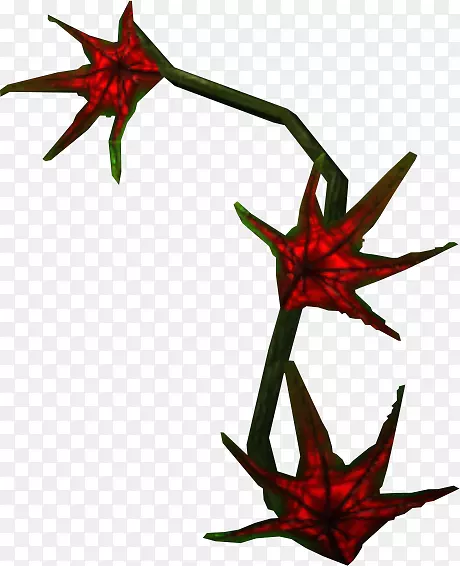 小枝植物茎开花植物剪贴画植物