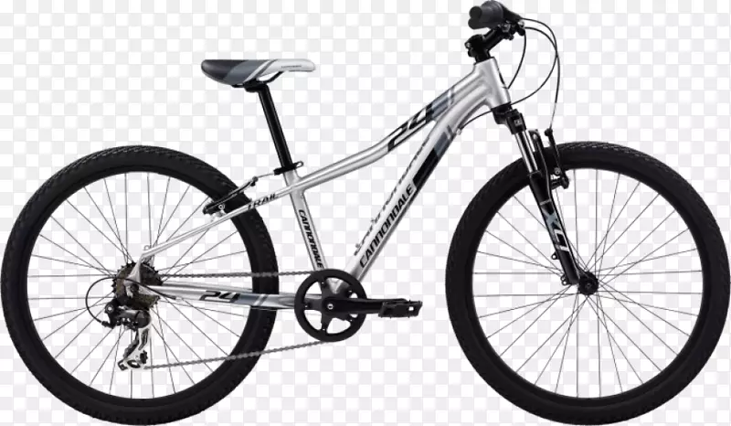 迈阿密海滩自行车中心山地车卡农代尔自行车公司自行车-自行车