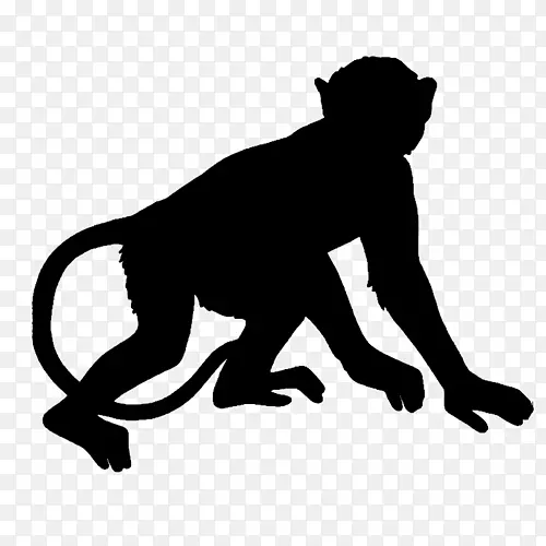 猴子免版税画-猴子