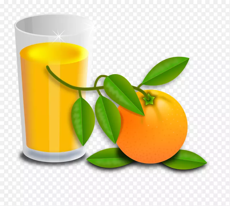 普通话橙汁素食料理-果汁