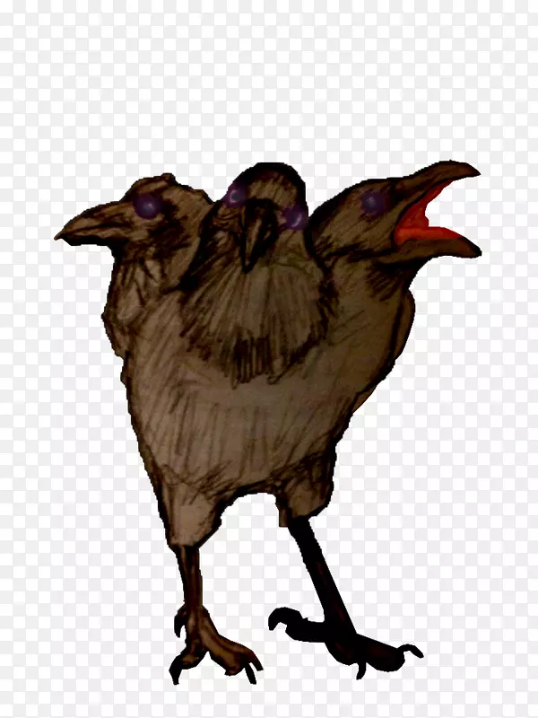 用喙鸡做食物-乌鸦