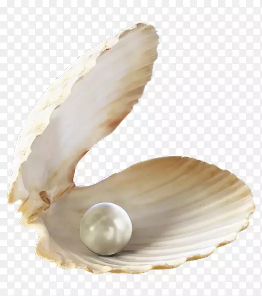 珍珠牡蛎诞生石珠宝宝石珠宝