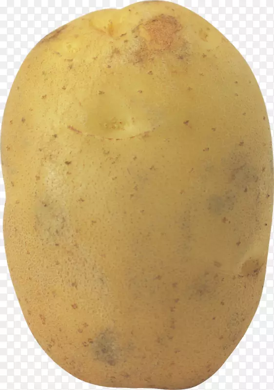 马铃薯沙拉电脑图标-土豆