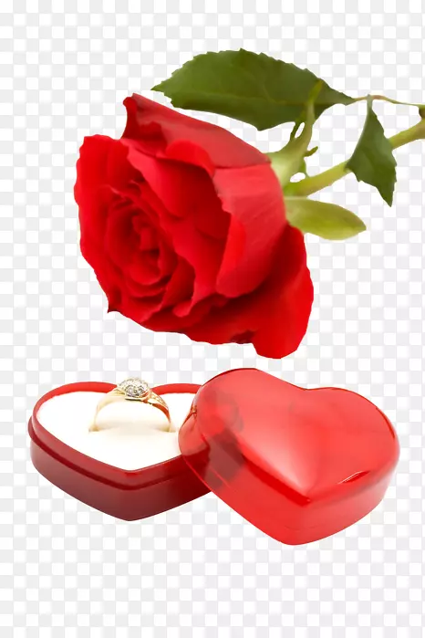 结婚请柬，结婚戒指，玫瑰花-结婚戒指