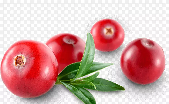 蔓越莓番茄巴巴多斯樱桃配料食物-番茄