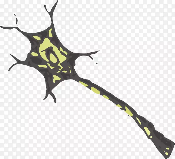 神经元神经系统树突脑夹艺术