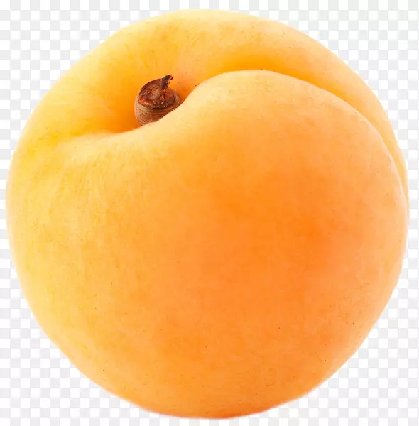 杏果夹艺术-杏