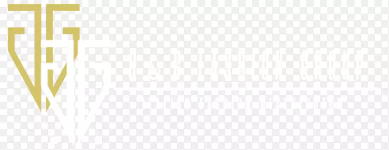 标志品牌线字体线