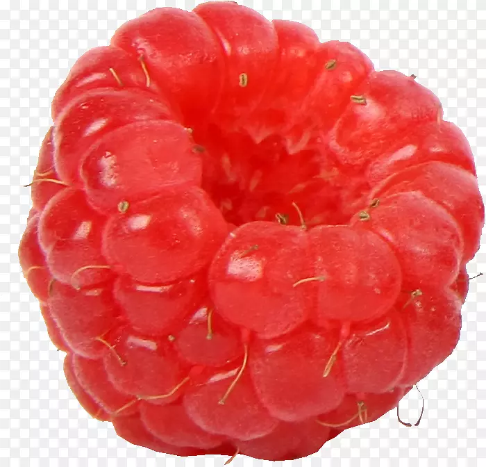 红莓果露珠覆盆子