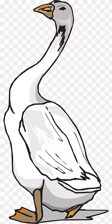 鸭鹅鸟夹艺术-鸭