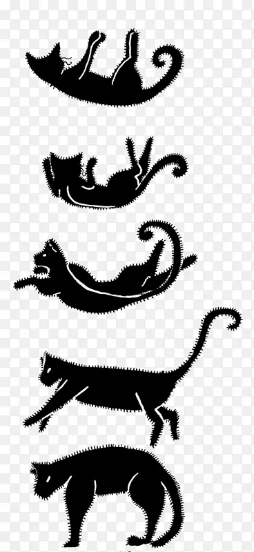 猫安提戈绘图夹艺术-猫