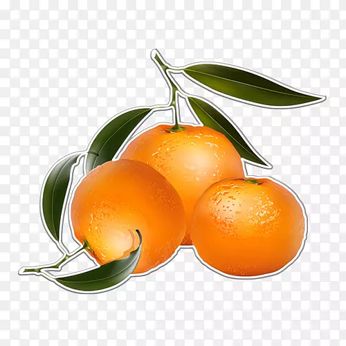橙汁，橘子，桔子，剪贴画-桔子