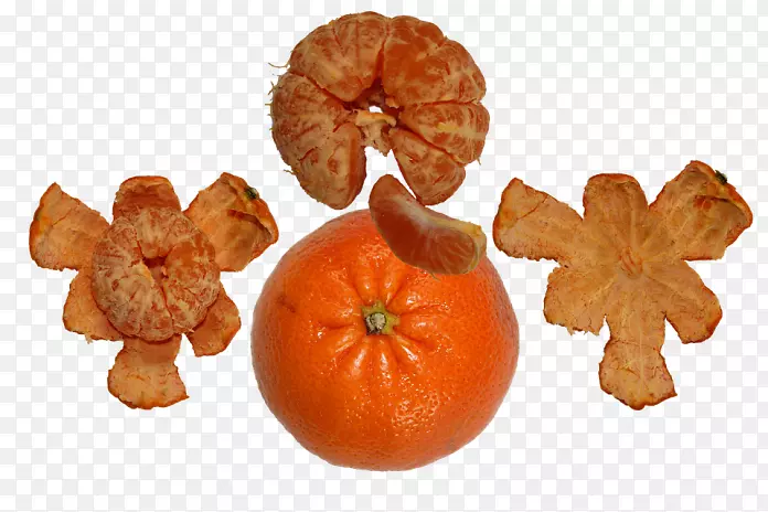 克莱门汀橘子，苦橙子