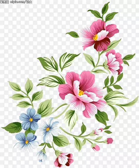 花卉设计摄影.花卉