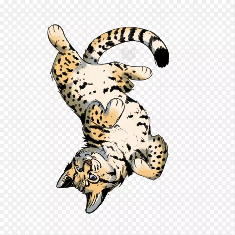 豹猫猎豹美洲豹猎豹