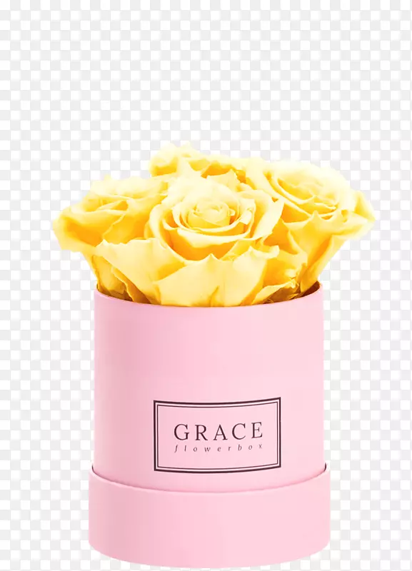 玫瑰花盒，粉红色切花-玫瑰
