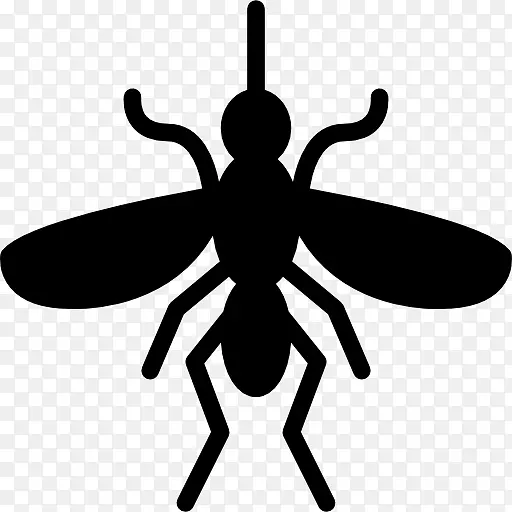 蚊媒蝇类害虫防治