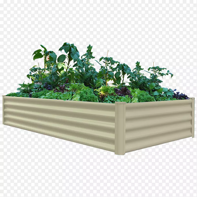 有机食品-床式园艺花园有机绿色墙-蔬菜