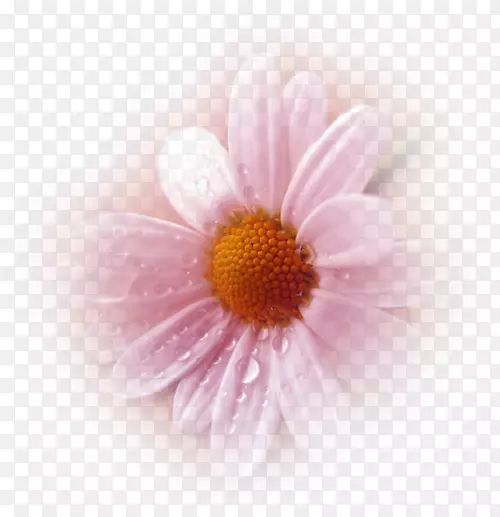  Farmerama PNG 4330448 PNG 