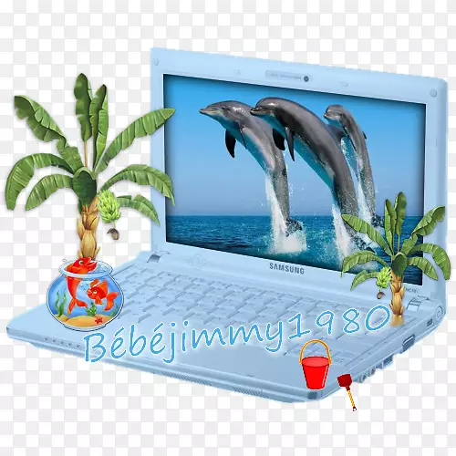 迪拜海豚馆港河海洋海豚YouTube-海豚