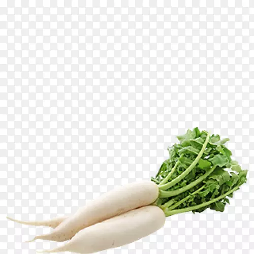 代康有机食品蔬菜萝卜香料蔬菜