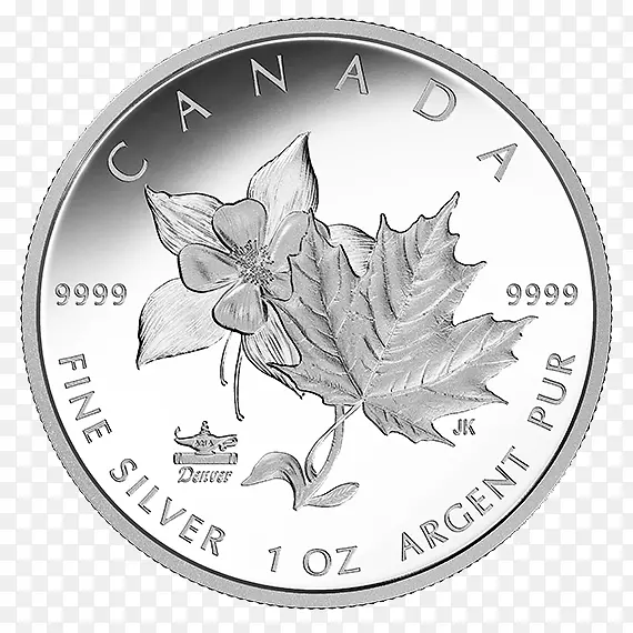 加拿大银枫叶加拿大金枫叶-加拿大