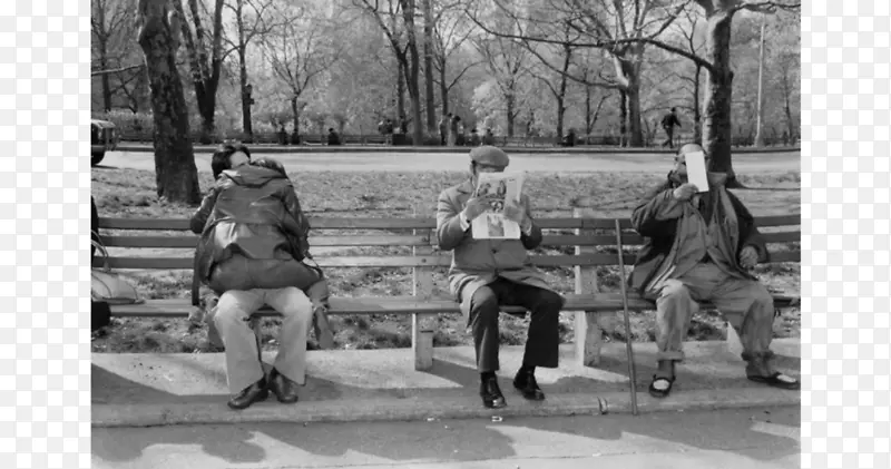 穿过伊甸园：中央公园街头摄影师-摄影师