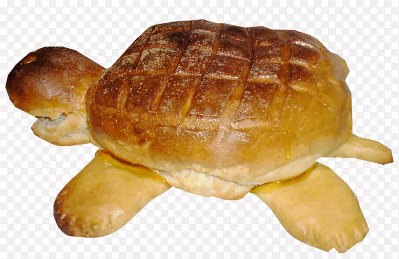 牛角面包龟
