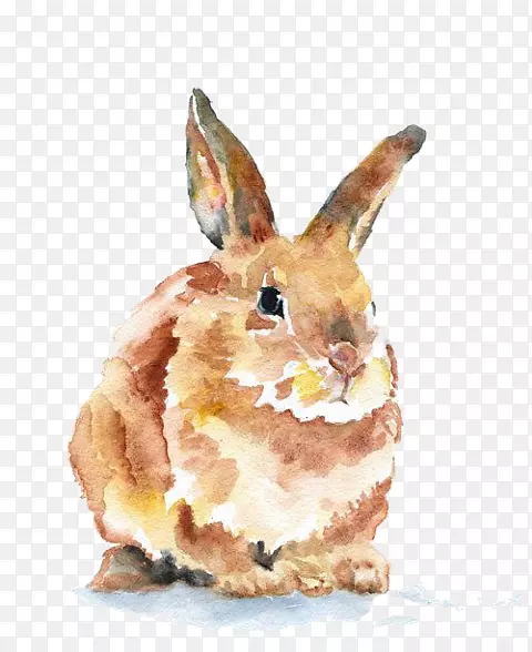 国内兔水彩画艺术绘画