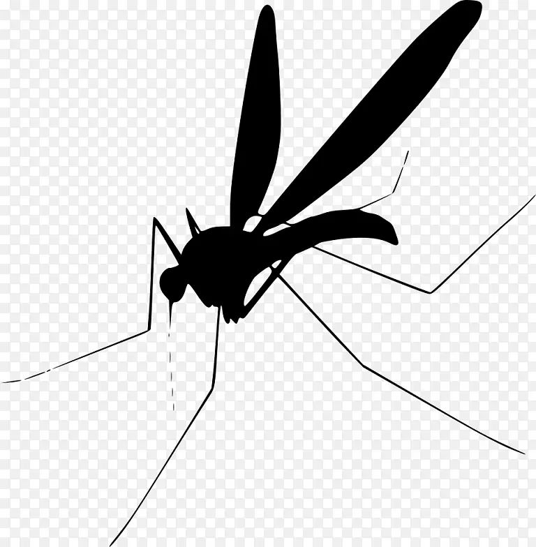 蚊虫飞夹艺术-蚊子