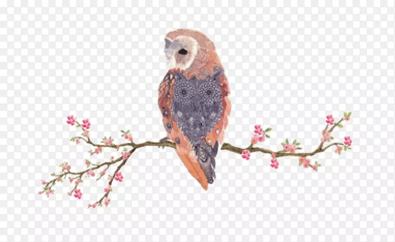 OWL iphone 6s鸟侧酒吧