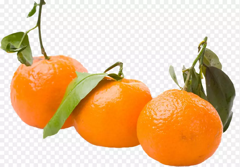 金门橘子兰普尔橘子