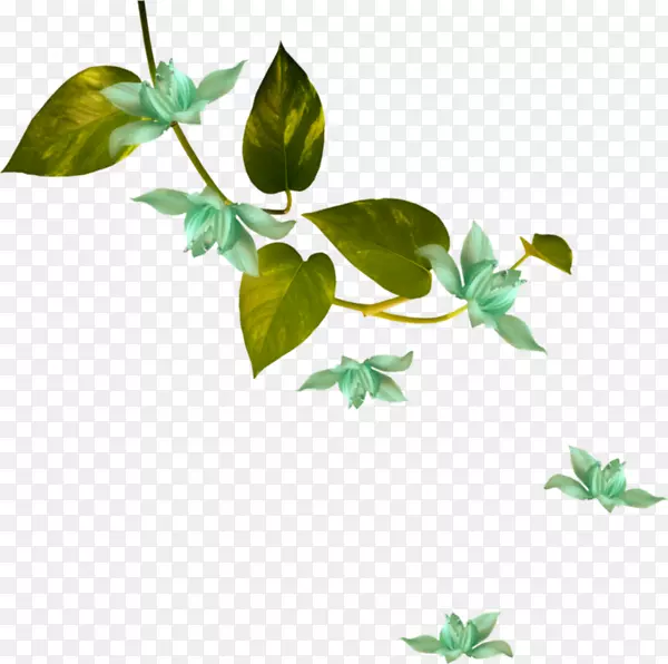 花绿色白色植物茎-花