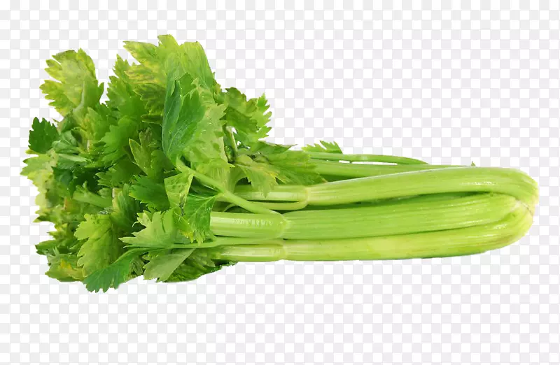 有机食品芹菜叶植物茎-蔬菜