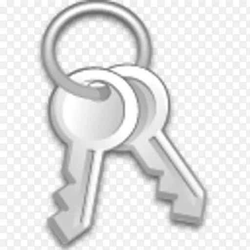 KeePass Akasia计算机软件