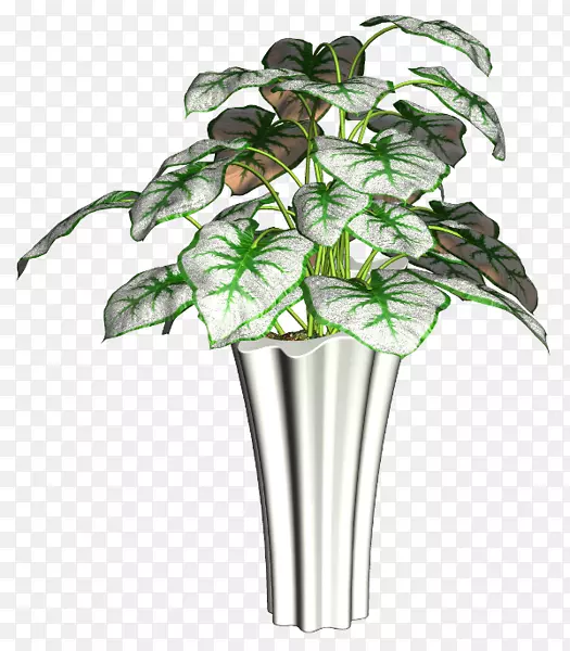 花盆植物