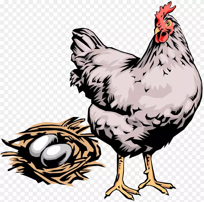 鸡蛋鸡夹艺术-鸡