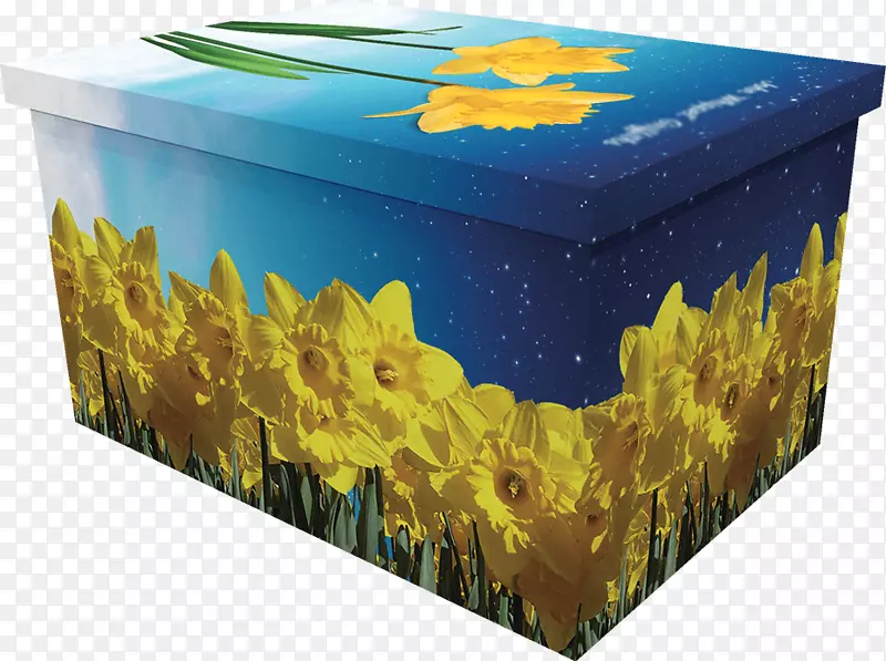 棺材盒我孤零零地徘徊，就像一朵云彩水仙花盒