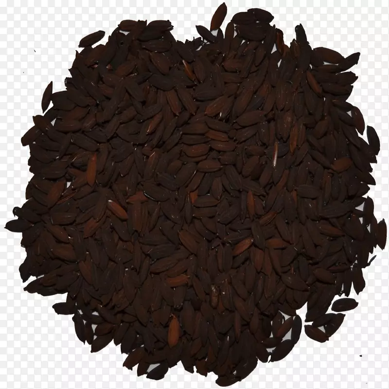 尼尔吉里茶hōJicha商品茶树-麦芽