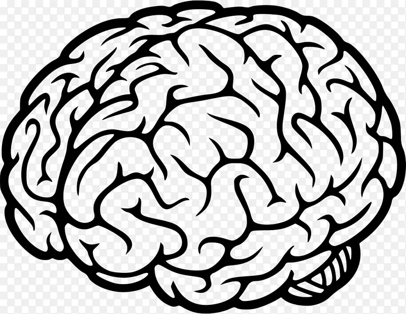 人脑认知科学神经振荡剪辑艺术脑