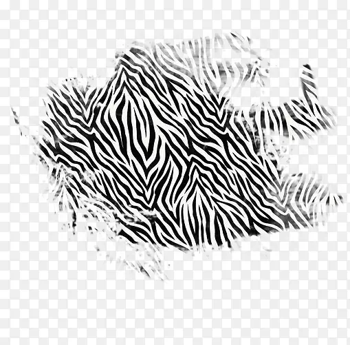 斑马虎猫动物图案斑马
