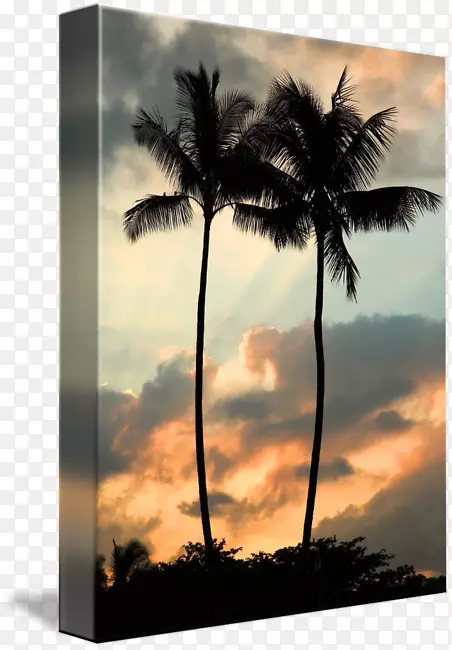 亚洲帕尔米拉棕榈心碎承诺摄影天空plc-夏威夷日落