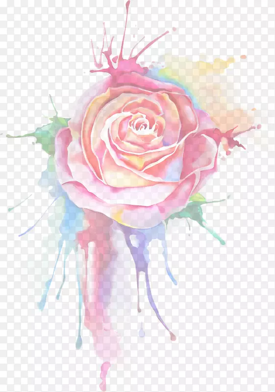 花园玫瑰花卉设计水彩画绘画