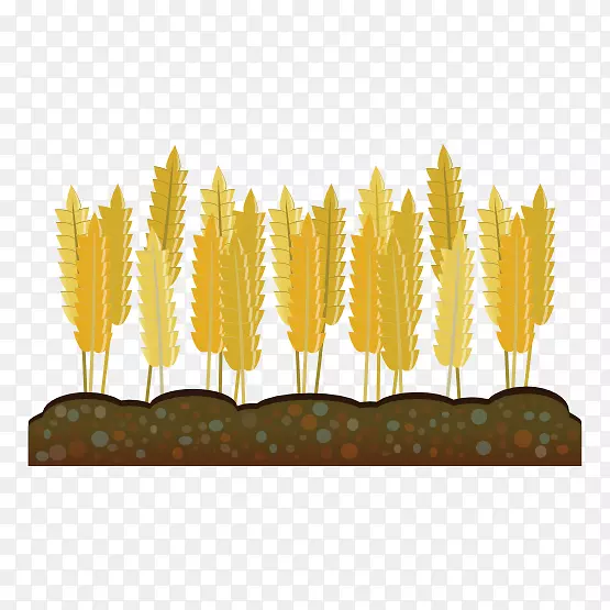 小麦作物农业剪贴画-小麦