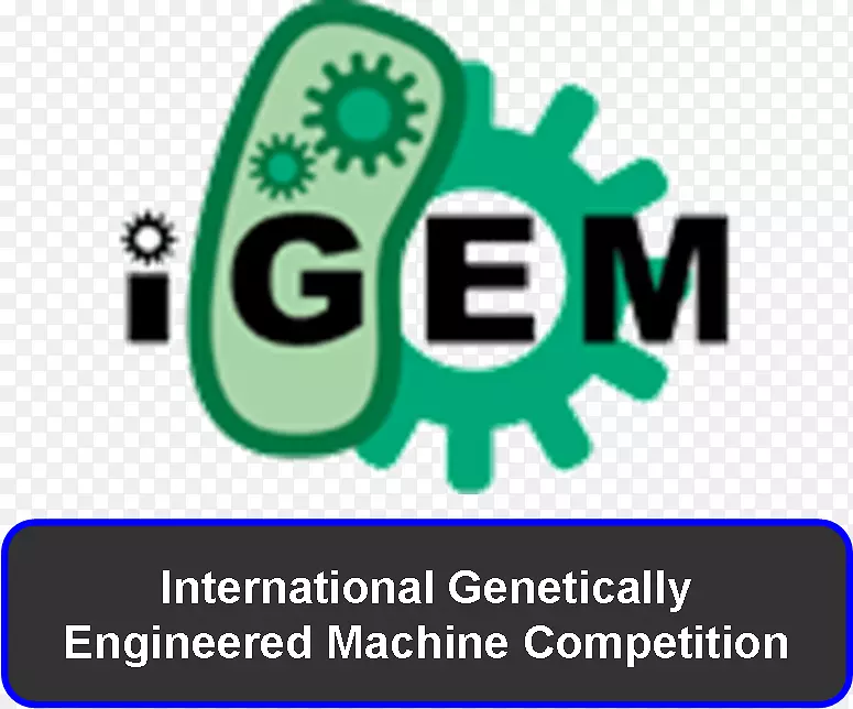 国际基因工程机器合成生物学基因工程新英格兰生物