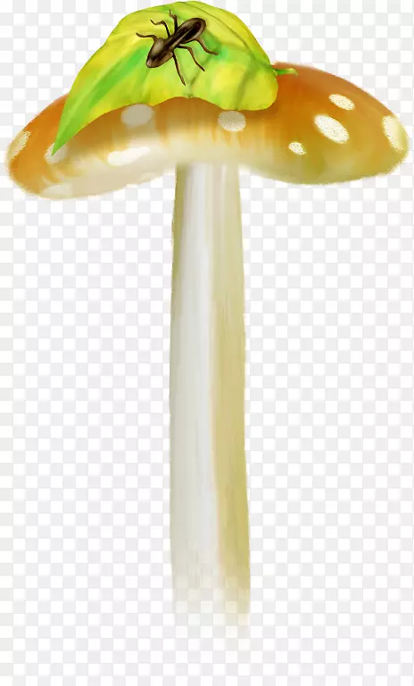 下载剪贴画