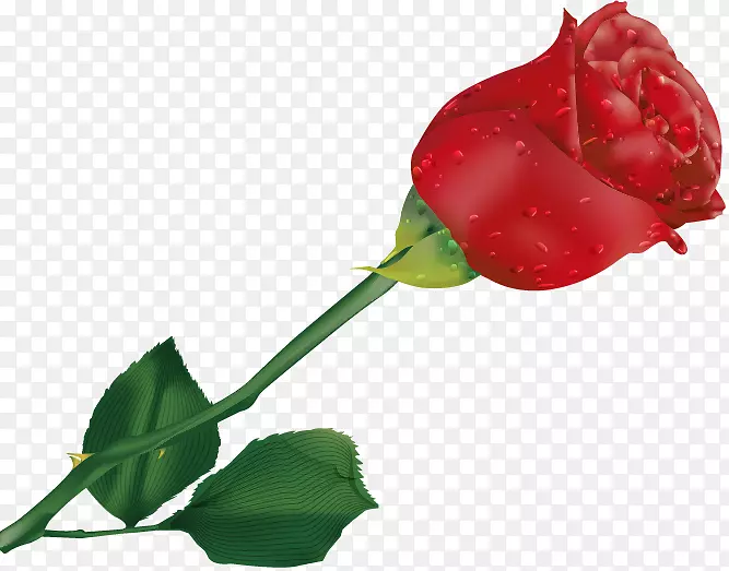 玫瑰书名代理有限责任公司红色剪贴画-玫瑰