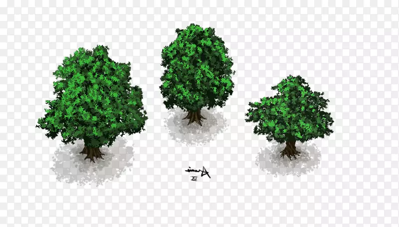 乔木艺术家灌木-树