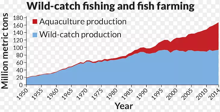 鱼类养殖图水产养殖农业-养鱼场
